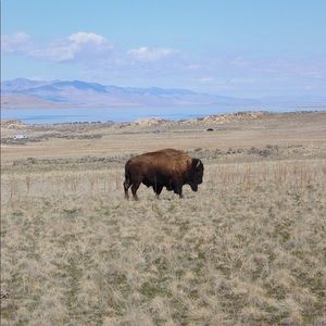 Meet your Posher, Amelia